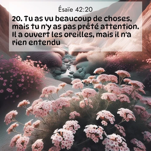 Segond21 Ésaïe  ; image nature: image avec le verset biblique :Tu as vu beaucoup de choses, mais tu n&#039;y as pas prêté attention. Il a ouvert les oreilles, mais il n&#039;a rien entendu. ;  ; 42:20