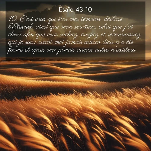 citation biblique : 10. C&#039;est vous qui êtes mes témoins, déclare l&#039;Eternel, ainsi que mon serviteur, celui que j&#039;ai choisi afin que vous sachiez, croyiez et reconnaissiez qui je suis: avant moi jamais aucun dieu n&#039;a été formé et après moi jamais aucun autre n&#039;existera.
 sur fond image nature