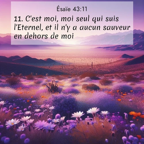 citation biblique : 11. C&#039;est moi, moi seul qui suis l&#039;Eternel, et il n&#039;y a aucun sauveur en dehors de moi.
 sur fond image nature