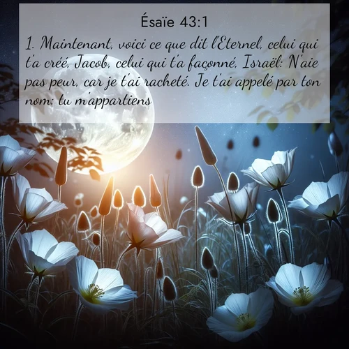 citation biblique : 1. Maintenant, voici ce que dit l&#039;Eternel, celui qui t&#039;a créé, Jacob, celui qui t&#039;a façonné, Israël: N&#039;aie pas peur, car je t&#039;ai racheté. Je t&#039;ai appelé par ton nom: tu m&#039;appartiens!
 sur fond image nature