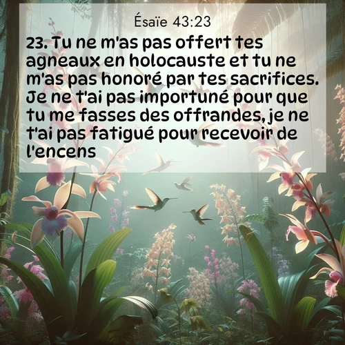 citation biblique : 23. Tu ne m&#039;as pas offert tes agneaux en holocauste et tu ne m&#039;as pas honoré par tes sacrifices. Je ne t&#039;ai pas importuné pour que tu me fasses des offrandes, je ne t&#039;ai pas fatigué pour recevoir de l&#039;encens.
 sur fond image nature