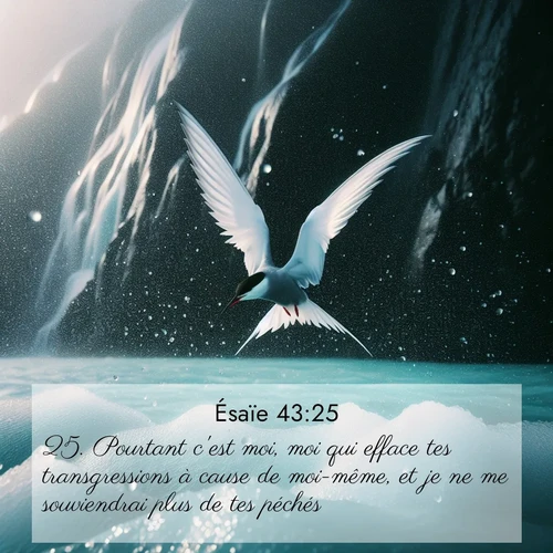 citation biblique : 25. Pourtant c&#039;est moi, moi qui efface tes transgressions à cause de moi-même, et je ne me souviendrai plus de tes péchés.
 sur fond image nature