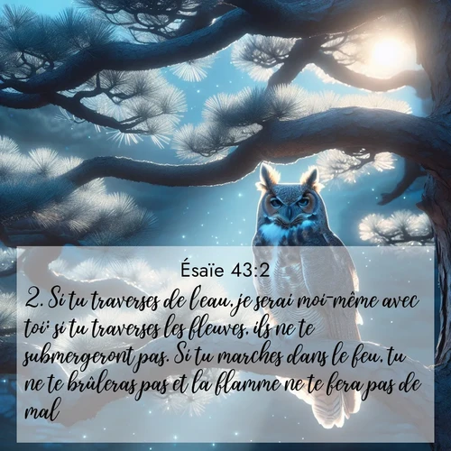 citation biblique : 2. Si tu traverses de l&#039;eau, je serai moi-même avec toi; si tu traverses les fleuves, ils ne te submergeront pas. Si tu marches dans le feu, tu ne te brûleras pas et la flamme ne te fera pas de mal.
 sur fond image nature