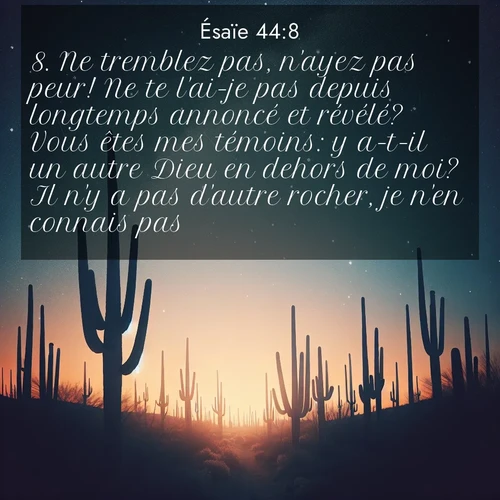 Segond21 Ésaïe  ; image nature: image avec le verset biblique :Ne tremblez pas, n&#039;ayez pas peur! Ne te l&#039;ai-je pas depuis longtemps annoncé et révélé? Vous êtes mes témoins: y a-t-il un autre Dieu en dehors de moi? Il n&#039;y a pas d&#039;autre rocher, je n&#039;en connais pas. ;  ; 44:8