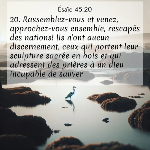Segond21 Ésaïe  ; image nature: image avec le verset biblique :Rassemblez-vous et venez, approchez-vous ensemble, rescapés des nations! Ils n&#039;ont aucun discernement, ceux qui portent leur sculpture sacrée en bois et qui adressent des prières à un dieu incapable de sauver. ;  ; 45:20