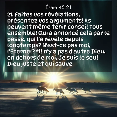 Segond21 Ésaïe  ; image nature: image avec le verset biblique :Faites vos révélations, présentez vos arguments! Ils peuvent même tenir conseil tous ensemble! Qui a annoncé cela par le passé, qui l&#039;a révélé depuis longtemps? N&#039;est-ce pas moi, l&#039;Eternel? *Il n&#039;y a pas d&#039;autre Dieu, en dehors de moi. Je suis le seul Dieu juste et qui sauve. ;  ; 45:21