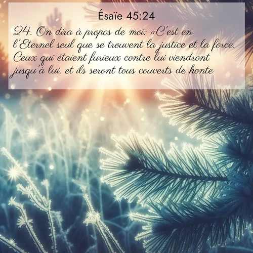 Segond21 Ésaïe  ; image nature: image avec le verset biblique :On dira à propos de moi: «C&#039;est en l&#039;Eternel seul que se trouvent la justice et la force. Ceux qui étaient furieux contre lui viendront jusqu&#039;à lui, et ils seront tous couverts de honte. ;  ; 45:24