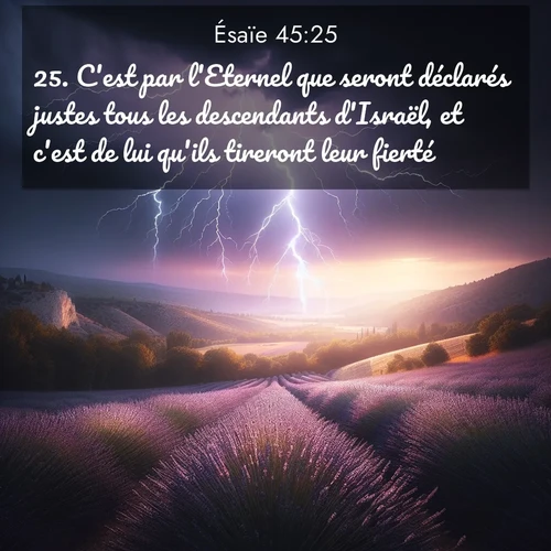 Segond21 Ésaïe  ; image nature: image avec le verset biblique :C&#039;est par l&#039;Eternel que seront déclarés justes tous les descendants d&#039;Israël, et c&#039;est de lui qu&#039;ils tireront leur fierté.» ;  ; 45:25