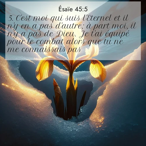 Segond21 Ésaïe  ; image nature: image avec le verset biblique :C&#039;est moi qui suis l&#039;Eternel et il n&#039;y en a pas d&#039;autre; à part moi, il n&#039;y a pas de Dieu. Je t&#039;ai équipé pour le combat alors que tu ne me connaissais pas. ;  ; 45:5