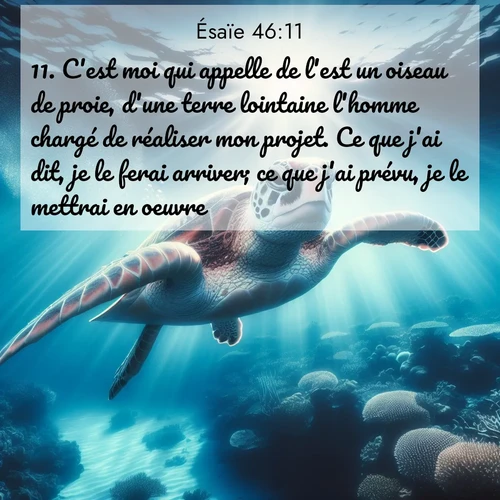 Segond21 Ésaïe  ; image nature: image avec le verset biblique :C&#039;est moi qui appelle de l&#039;est un oiseau de proie, d&#039;une terre lointaine l&#039;homme chargé de réaliser mon projet. Ce que j&#039;ai dit, je le ferai arriver; ce que j&#039;ai prévu, je le mettrai en oeuvre. ;  ; 46:11