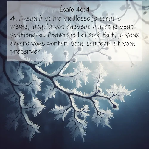 Segond21 Ésaïe  ; image nature: image avec le verset biblique :Jusqu&#039;à votre vieillesse je serai le même, jusqu&#039;à vos cheveux blancs je vous soutiendrai. Comme je l&#039;ai déjà fait, je veux encore vous porter, vous soutenir et vous préserver. ;  ; 46:4