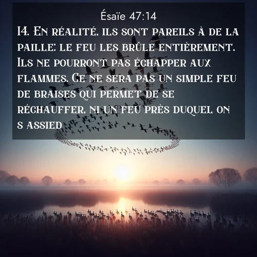 Segond21 Ésaïe  ; image nature: image avec le verset biblique :En réalité, ils sont pareils à de la paille: le feu les brûle entièrement. Ils ne pourront pas échapper aux flammes. Ce ne sera pas un simple feu de braises qui permet de se réchauffer, ni un feu près duquel on s&#039;assied. ;  ; 47:14