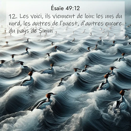 Segond21 Ésaïe  ; image nature: image avec le verset biblique :Les voici, ils viennent de loin: les uns du nord, les autres de l&#039;ouest, d&#039;autres encore du pays de Sinim. ;  ; 49:12