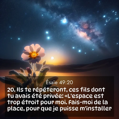 Segond21 Ésaïe  ; image nature: image avec le verset biblique :Ils te répéteront, ces fils dont tu avais été privée: «L&#039;espace est trop étroit pour moi. Fais-moi de la place, pour que je puisse m&#039;installer!» ;  ; 49:20