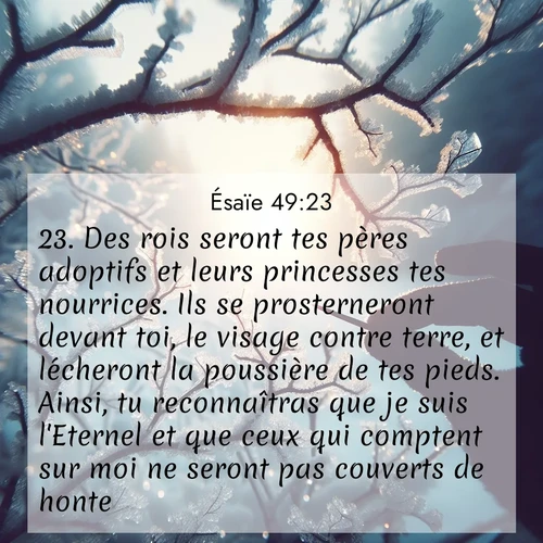 Segond21 Ésaïe  ; image nature: image avec le verset biblique :Des rois seront tes pères adoptifs et leurs princesses tes nourrices. Ils se prosterneront devant toi, le visage contre terre, et lécheront la poussière de tes pieds. Ainsi, tu reconnaîtras que je suis l&#039;Eternel et que ceux qui comptent sur moi ne seront pas couverts de honte. ;  ; 49:23