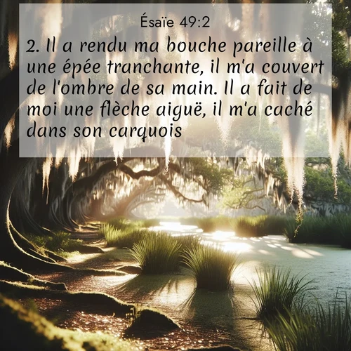 Segond21 Ésaïe  ; image nature: image avec le verset biblique :Il a rendu ma bouche pareille à une épée tranchante, il m&#039;a couvert de l&#039;ombre de sa main. Il a fait de moi une flèche aiguë, il m&#039;a caché dans son carquois. ;  ; 49:2