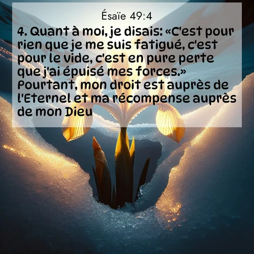 Segond21 Ésaïe  ; image nature: image avec le verset biblique :Quant à moi, je disais: «C&#039;est pour rien que je me suis fatigué, c&#039;est pour le vide, c&#039;est en pure perte que j&#039;ai épuisé mes forces.» Pourtant, mon droit est auprès de l&#039;Eternel et ma récompense auprès de mon Dieu. ;  ; 49:4