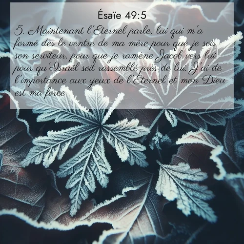 Segond21 Ésaïe  ; image nature: image avec le verset biblique :Maintenant l&#039;Eternel parle, lui qui m&#039;a formé dès le ventre de ma mère pour que je sois son serviteur, pour que je ramène Jacob vers lui, pour qu&#039;Israël soit rassemblé près de lui. J&#039;ai de l&#039;importance aux yeux de l&#039;Eternel et mon Dieu est ma force. ;  ; 49:5