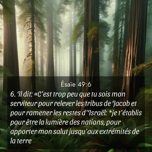 Segond21 Ésaïe  ; image nature: image avec le verset biblique :Il dit: «C&#039;est trop peu que tu sois mon serviteur pour relever les tribus de Jacob et pour ramener les restes d&#039;Israël: *je t&#039;établis pour être la lumière des nations, pour apporter mon salut jusqu&#039;aux extrémités de la terre.» ;  ; 49:6