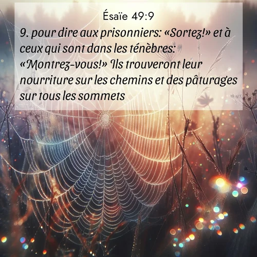 Segond21 Ésaïe  ; image nature: image avec le verset biblique :pour dire aux prisonniers: «Sortez!» et à ceux qui sont dans les ténèbres: «Montrez-vous!» Ils trouveront leur nourriture sur les chemins et des pâturages sur tous les sommets. ;  ; 49:9
