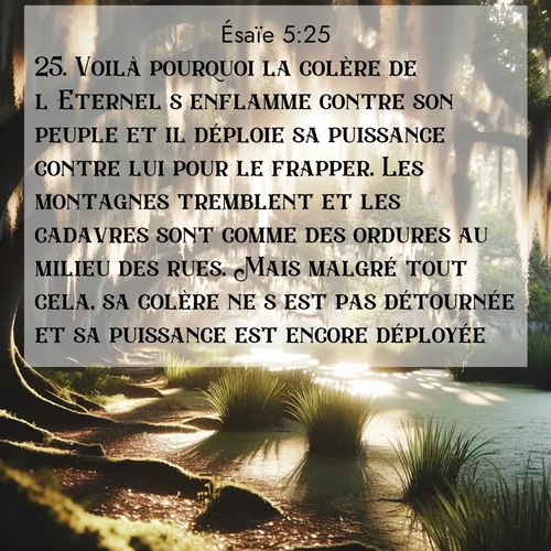 Segond21 Ésaïe  ; image nature: image avec le verset biblique :Voilà pourquoi la colère de l&#039;Eternel s&#039;enflamme contre son peuple et il déploie sa puissance contre lui pour le frapper. Les montagnes tremblent et les cadavres sont comme des ordures au milieu des rues. Mais malgré tout cela, sa colère ne s&#039;est pas détournée et sa puissance est encore déployée. ;  ; 5:25