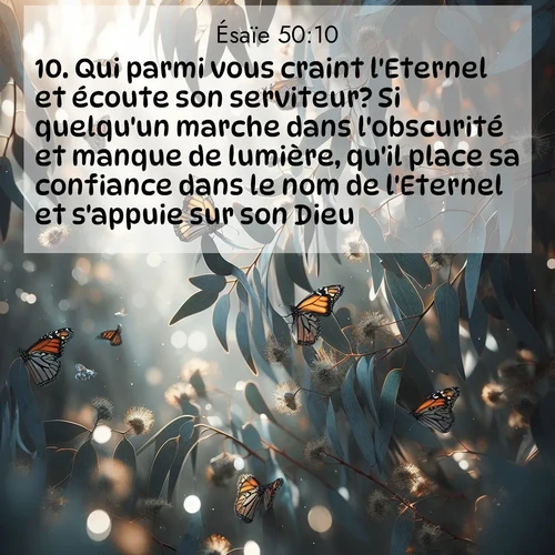 Segond21 Ésaïe  ; image nature: image avec le verset biblique :Qui parmi vous craint l&#039;Eternel et écoute son serviteur? Si quelqu&#039;un marche dans l&#039;obscurité et manque de lumière, qu&#039;il place sa confiance dans le nom de l&#039;Eternel et s&#039;appuie sur son Dieu! ;  ; 50:10