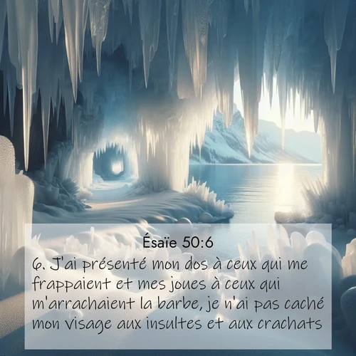 Segond21 Ésaïe  ; image nature: image avec le verset biblique :J&#039;ai présenté mon dos à ceux qui me frappaient et mes joues à ceux qui m&#039;arrachaient la barbe, je n&#039;ai pas caché mon visage aux insultes et aux crachats. ;  ; 50:6