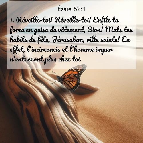 citation biblique : 1. Réveille-toi! Réveille-toi! Enfile ta force en guise de vêtement, Sion! Mets tes habits de fête, Jérusalem, ville sainte! En effet, l&#039;incirconcis et l&#039;homme impur n&#039;entreront plus chez toi.
 sur fond image nature