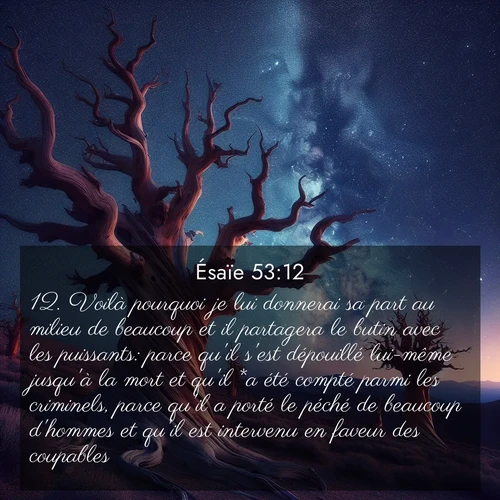 Segond21 Ésaïe  ; image nature: image avec le verset biblique :Voilà pourquoi je lui donnerai sa part au milieu de beaucoup et il partagera le butin avec les puissants: parce qu&#039;il s&#039;est dépouillé lui-même jusqu&#039;à la mort et qu&#039;il *a été compté parmi les criminels, parce qu&#039;il a porté le péché de beaucoup d&#039;hommes et qu&#039;il est intervenu en faveur des coupables. ;  ; 53:12