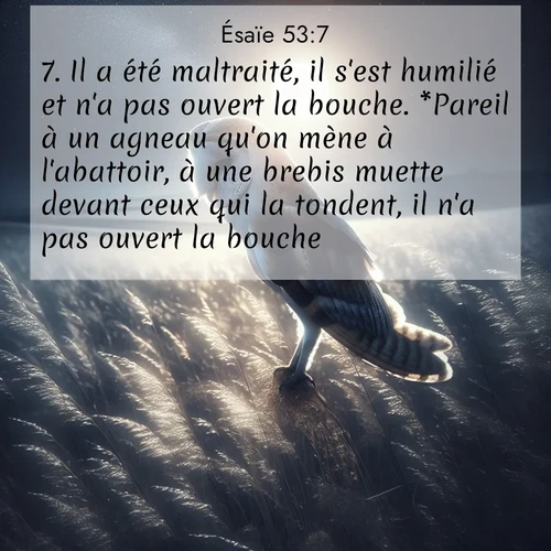 citation biblique : 7. Il a été maltraité, il s&#039;est humilié et n&#039;a pas ouvert la bouche. *Pareil à un agneau qu&#039;on mène à l&#039;abattoir, à une brebis muette devant ceux qui la tondent, il n&#039;a pas ouvert la bouche.
 sur fond image nature