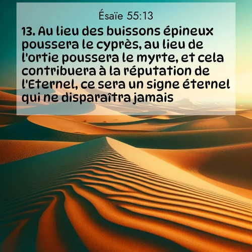 Segond21 Ésaïe  ; image nature: image avec le verset biblique :Au lieu des buissons épineux poussera le cyprès, au lieu de l&#039;ortie poussera le myrte, et cela contribuera à la réputation de l&#039;Eternel, ce sera un signe éternel qui ne disparaîtra jamais. ;  ; 55:13