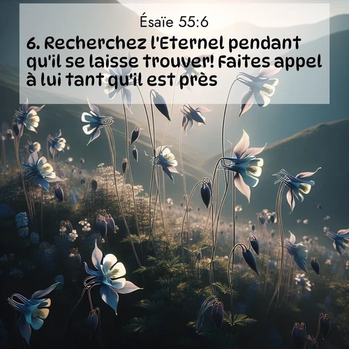 Segond21 Ésaïe  ; image nature: image avec le verset biblique :Recherchez l&#039;Eternel pendant qu&#039;il se laisse trouver! Faites appel à lui tant qu&#039;il est près! ;  ; 55:6