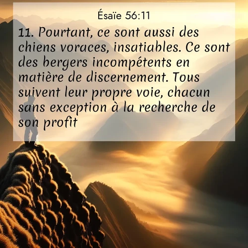citation biblique : 11. Pourtant, ce sont aussi des chiens voraces, insatiables. Ce sont des bergers incompétents en matière de discernement. Tous suivent leur propre voie, chacun sans exception à la recherche de son profit.
 sur fond image nature