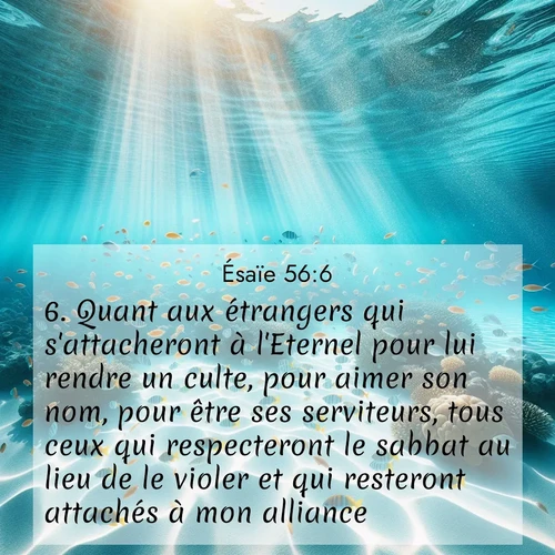 citation biblique : 6. Quant aux étrangers qui s&#039;attacheront à l&#039;Eternel pour lui rendre un culte, pour aimer son nom, pour être ses serviteurs, tous ceux qui respecteront le sabbat au lieu de le violer et qui resteront attachés à mon alliance,
 sur fond image nature