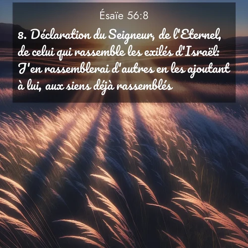citation biblique : 8. Déclaration du Seigneur, de l&#039;Eternel, de celui qui rassemble les exilés d&#039;Israël: J&#039;en rassemblerai d&#039;autres en les ajoutant à lui, aux siens déjà rassemblés.
 sur fond image nature