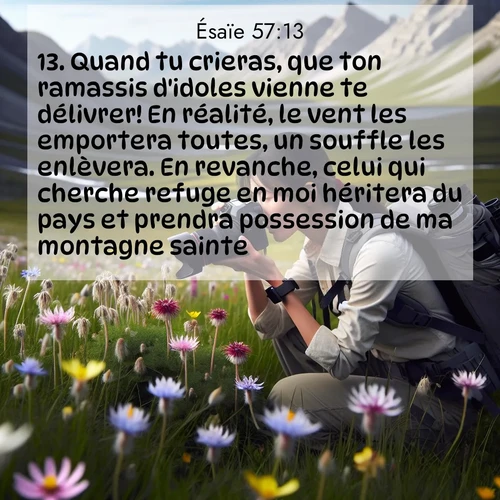 citation biblique : 13. Quand tu crieras, que ton ramassis d&#039;idoles vienne te délivrer! En réalité, le vent les emportera toutes, un souffle les enlèvera. En revanche, celui qui cherche refuge en moi héritera du pays et prendra possession de ma montagne sainte.
 sur fond image nature