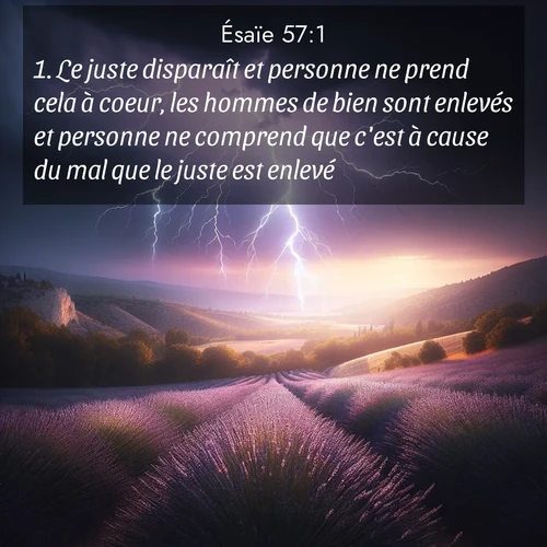 citation biblique : 1. Le juste disparaît et personne ne prend cela à coeur, les hommes de bien sont enlevés et personne ne comprend que c&#039;est à cause du mal que le juste est enlevé.
 sur fond image nature