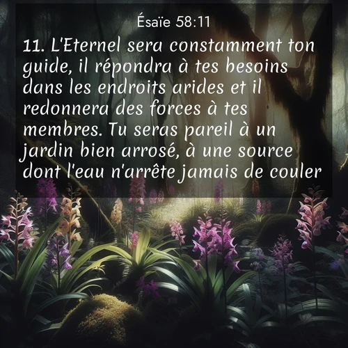 citation biblique : 11. L&#039;Eternel sera constamment ton guide, il répondra à tes besoins dans les endroits arides et il redonnera des forces à tes membres. Tu seras pareil à un jardin bien arrosé, à une source dont l&#039;eau n&#039;arrête jamais de couler.
 sur fond image nature