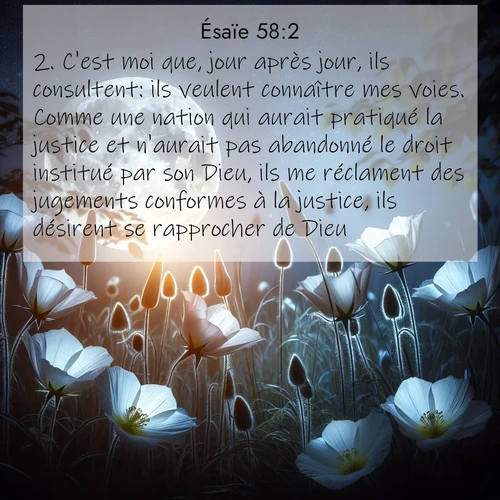citation biblique : 2. C&#039;est moi que, jour après jour, ils consultent: ils veulent connaître mes voies. Comme une nation qui aurait pratiqué la justice et n&#039;aurait pas abandonné le droit institué par son Dieu, ils me réclament des jugements conformes à la justice, ils désirent se rapprocher de Dieu.
 sur fond image nature