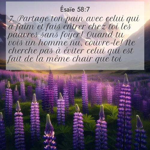 citation biblique : 7. Partage ton pain avec celui qui a faim et fais entrer chez toi les pauvres sans foyer! Quand tu vois un homme nu, couvre-le! Ne cherche pas à éviter celui qui est fait de la même chair que toi!
 sur fond image nature