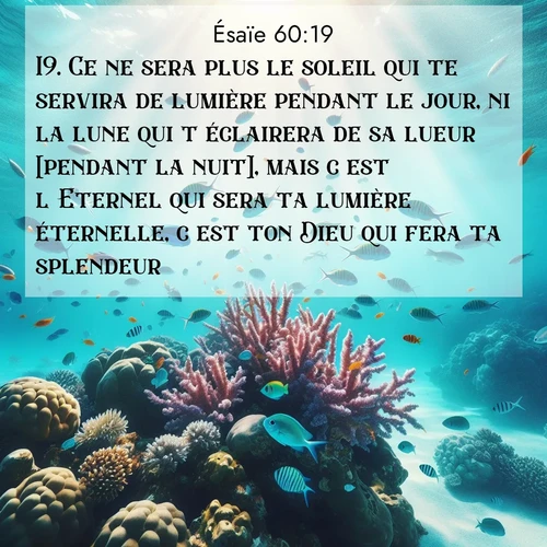 Segond21 Ésaïe  ; image nature: image avec le verset biblique :Ce ne sera plus le soleil qui te servira de lumière pendant le jour, ni la lune qui t&#039;éclairera de sa lueur [pendant la nuit], mais c&#039;est l&#039;Eternel qui sera ta lumière éternelle, c&#039;est ton Dieu qui fera ta splendeur. ;  ; 60:19