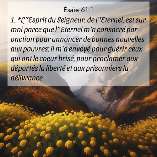 citation biblique : 1. *L&#039;Esprit du Seigneur, de l&#039;Eternel, est sur moi parce que l&#039;Eternel m&#039;a consacré par onction pour annoncer de bonnes nouvelles aux pauvres; il m&#039;a envoyé pour guérir ceux qui ont le coeur brisé, pour proclamer aux déportés la liberté et aux prisonniers la délivrance,
 sur fond image nature