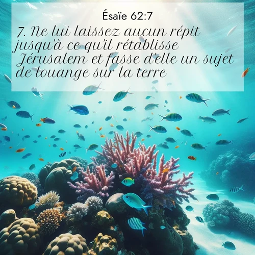 Segond21 Ésaïe  ; image nature: image avec le verset biblique :Ne lui laissez aucun répit jusqu&#039;à ce qu&#039;il rétablisse Jérusalem et fasse d&#039;elle un sujet de louange sur la terre! ;  ; 62:7