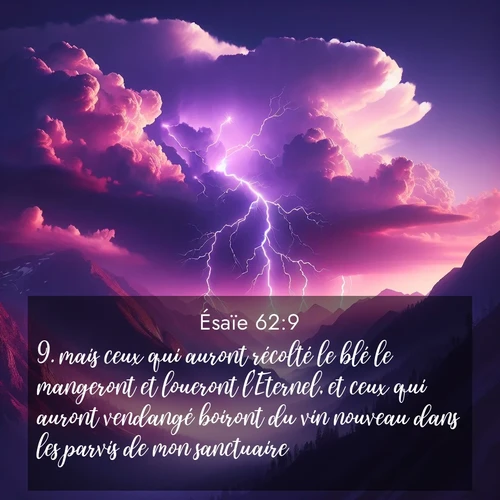Segond21 Ésaïe  ; image nature: image avec le verset biblique :mais ceux qui auront récolté le blé le mangeront et loueront l&#039;Eternel, et ceux qui auront vendangé boiront du vin nouveau dans les parvis de mon sanctuaire.» ;  ; 62:9