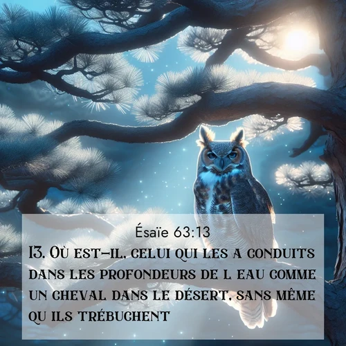 Segond21 Ésaïe  ; image nature: image avec le verset biblique :Où est-il, celui qui les a conduits dans les profondeurs de l&#039;eau comme un cheval dans le désert, sans même qu&#039;ils trébuchent? ;  ; 63:13