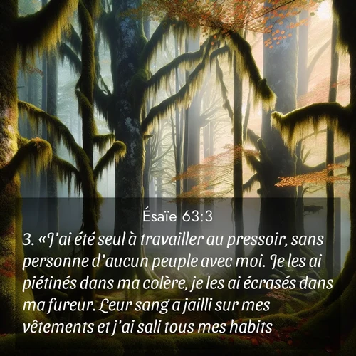 Segond21 Ésaïe  ; image nature: image avec le verset biblique :«J&#039;ai été seul à travailler au pressoir, sans personne d&#039;aucun peuple avec moi. Je les ai piétinés dans ma colère, je les ai écrasés dans ma fureur. Leur sang a jailli sur mes vêtements et j&#039;ai sali tous mes habits. ;  ; 63:3