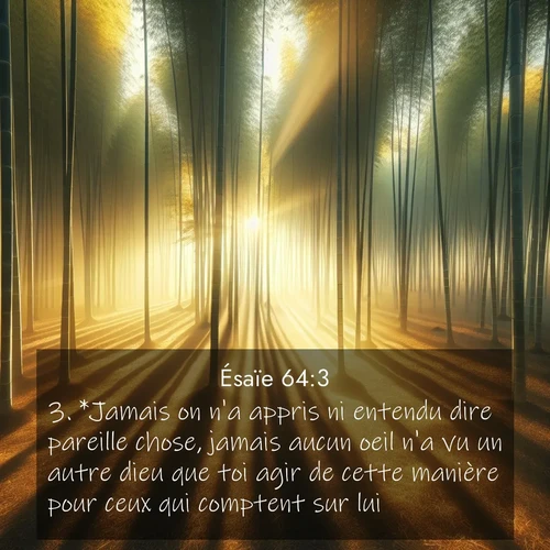 Segond21 Ésaïe  ; image nature: image avec le verset biblique :*Jamais on n&#039;a appris ni entendu dire pareille chose, jamais aucun oeil n&#039;a vu un autre dieu que toi agir de cette manière pour ceux qui comptent sur lui. ;  ; 64:3