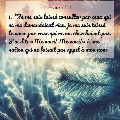citation biblique : 1. *Je me suis laissé consulter par ceux qui ne me demandaient rien, je me suis laissé trouver par ceux qui ne me cherchaient pas. J&#039;ai dit: «Me voici! Me voici!» à une nation qui ne faisait pas appel à mon nom.
 sur fond image nature