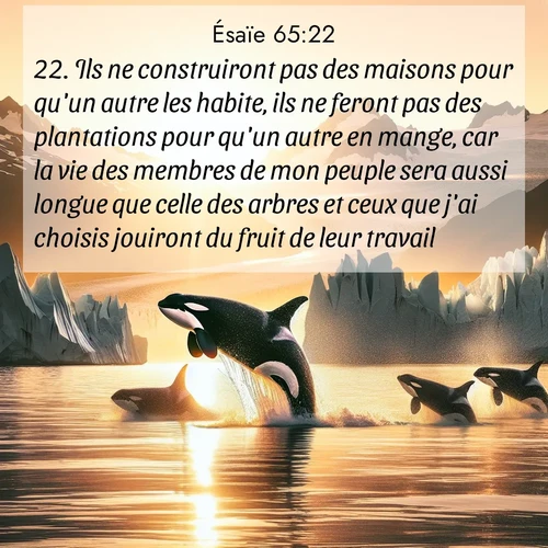 citation biblique : 22. Ils ne construiront pas des maisons pour qu&#039;un autre les habite, ils ne feront pas des plantations pour qu&#039;un autre en mange, car la vie des membres de mon peuple sera aussi longue que celle des arbres et ceux que j&#039;ai choisis jouiront du fruit de leur travail.
 sur fond image nature