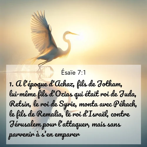 citation biblique : 1. A l&#039;époque d&#039;Achaz, fils de Jotham, lui-même fils d&#039;Ozias qui était roi de Juda, Retsin, le roi de Syrie, monta avec Pékach, le fils de Remalia, le roi d&#039;Israël, contre Jérusalem pour l&#039;attaquer, mais sans parvenir à s&#039;en emparer.
 sur fond image nature